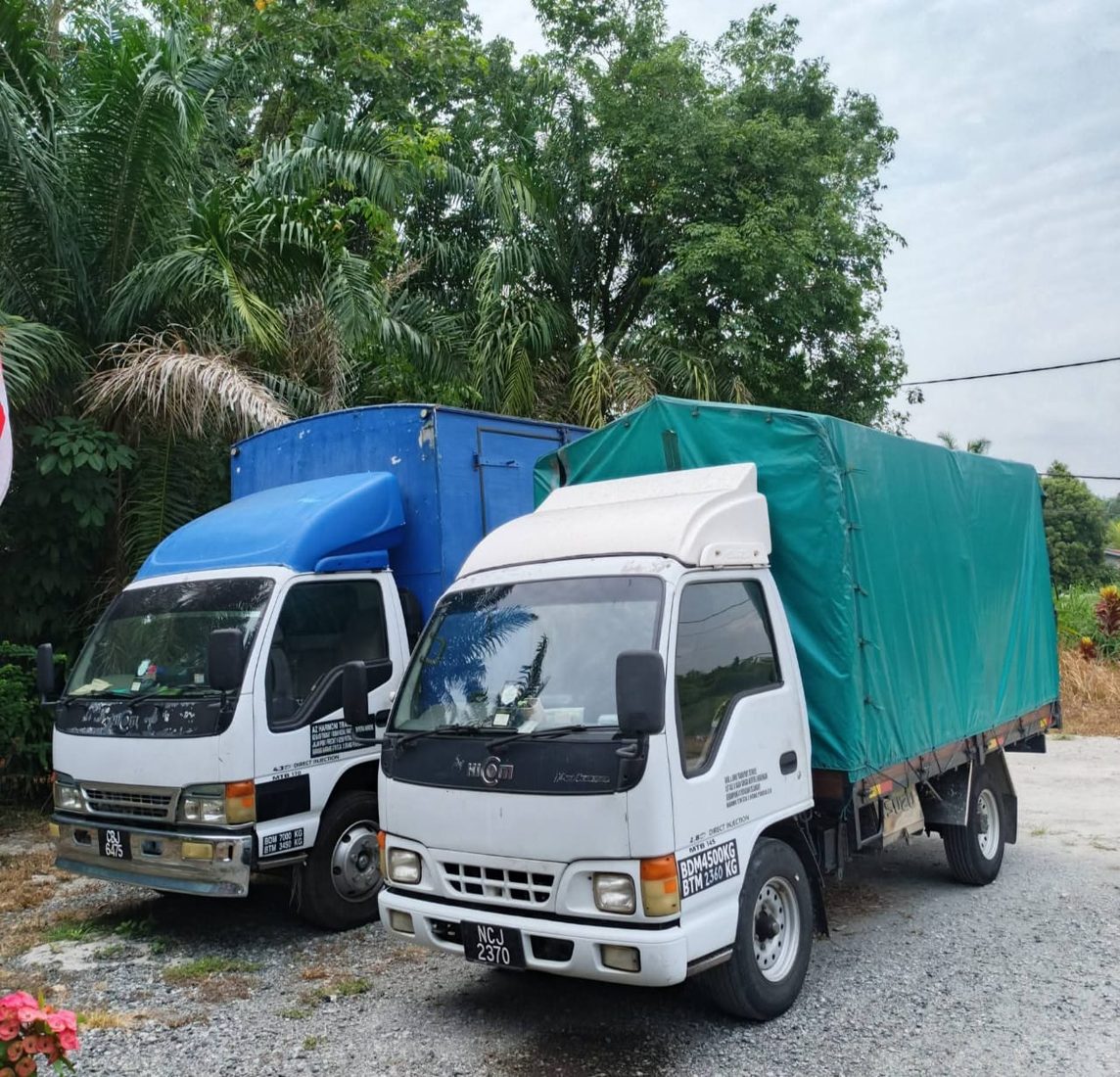 AZ Harmoni Transport lorries